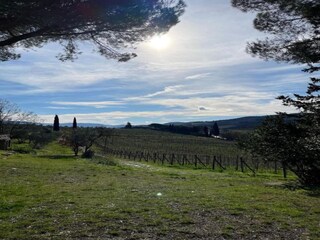 Appartement Greve in Chianti Omgeving 37