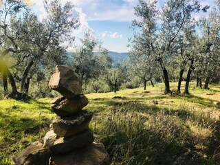 Apartment Greve in Chianti Umgebung 38