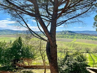 Appartamento Greve in Chianti Ambiente 39