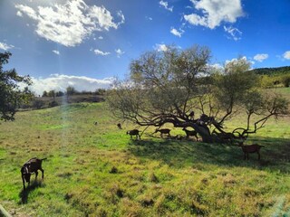 Appartamento Greve in Chianti Ambiente 29