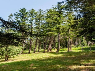 Apartment Greve in Chianti Environment 33