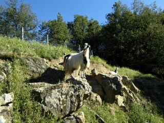 Appartamento Greve in Chianti Ambiente 40