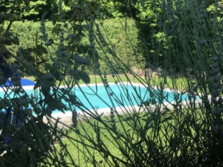 Casa per le vacanze Castelnuovo di Garfagnana Registrazione all'aperto 5