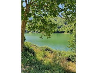 Casa per le vacanze Castelnuovo di Garfagnana Ambiente 15