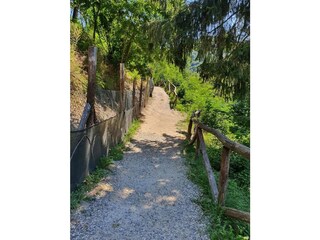 Casa per le vacanze Castelnuovo di Garfagnana Ambiente 16