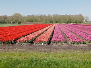 Vakantiehuis Wervershoof Omgeving 32