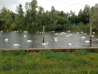 Bekannte und seltene Vögel entdecken