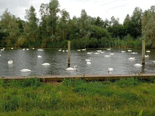 Casa per le vacanze Wervershoof Ambiente 29