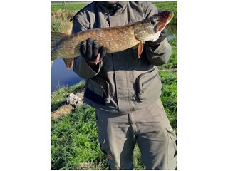Fun with fishing