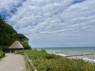 Ferienwohnung Nienhagen  22