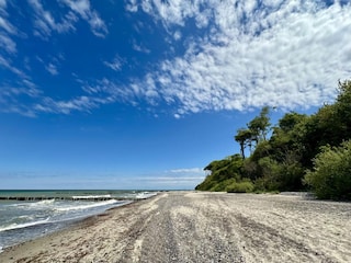 Ferienwohnung Nienhagen  24