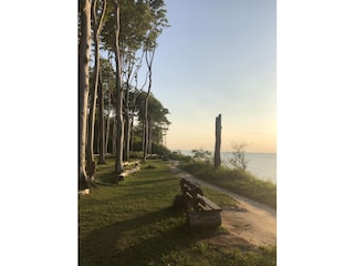 Ferienwohnung Nienhagen  25