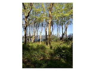 Ferienwohnung Nienhagen  27