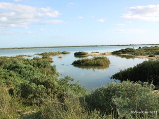 Ria Formosa Cabanas