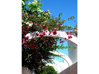 Eingang OASIS-VERDE