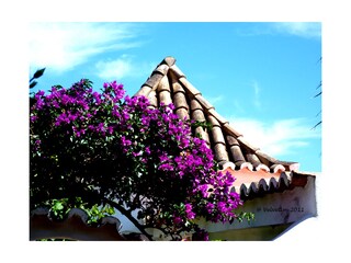 Casa de vacaciones Cabanas Grabación al aire libre 2
