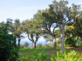 Villa Cap Bénat Ambiente 29