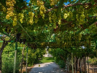 Villa Kamilari Grabación al aire libre 13