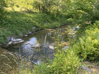Steinbach grenzend am Garten