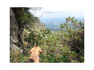 Wandergebiet am Berg Hochfelln