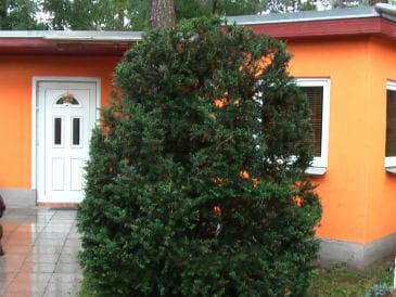 Ferienhaus Wetzelwald