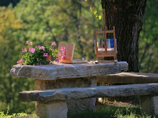 Villa Boljun Buitenaudio-opname 5