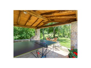 Villa Boljun Buitenaudio-opname 14