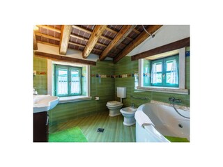 Villa Boljun Caratteristiche 32