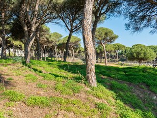 Villa Isla Cristina Environnement 23
