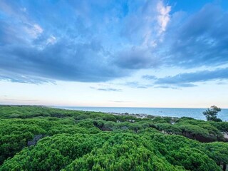 Villa Isla Cristina Omgeving 33