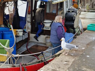 Holiday apartment Priwall Environment 39