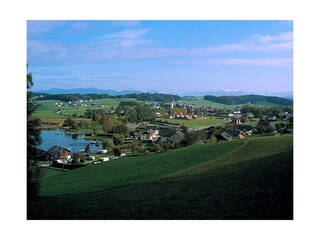 In der Bio-Heu-Region des Salzburger Seenland