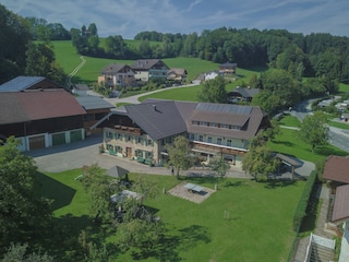 Pension Obertrum am See Umgebung 10