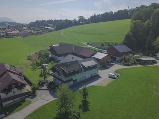 Pension Obertrum am See Umgebung 11
