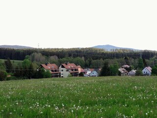 Blick von der Wiese auf das Haus