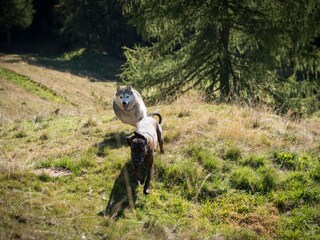 Alpenhut Rangersdorf Omgeving 17