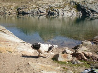 Bergsee