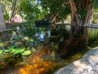 Villa S'Alqueria Blanca Buitenaudio-opname 21