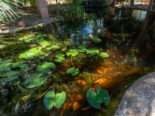 Villa S'Alqueria Blanca Buitenaudio-opname 22