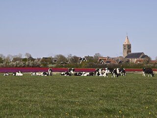 Appartamento per vacanze Den Oever Ambiente 38