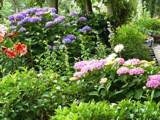 Appartamento per vacanze Den Oever Registrazione all'aperto 8