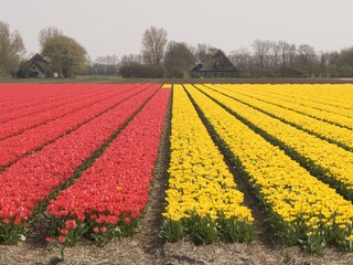 Appartamento per vacanze Den Oever Ambiente 34