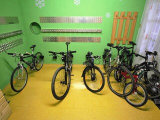 Appartement Forstau Kenmerken 30