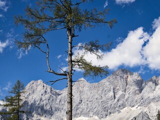 Appartamento Forstau Ambiente 36