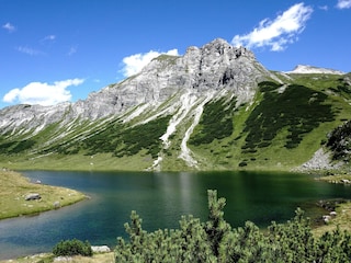 Appartement Forstau Omgeving 38