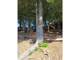 großer Waldspielplatz im Hopsiland auf der Planai