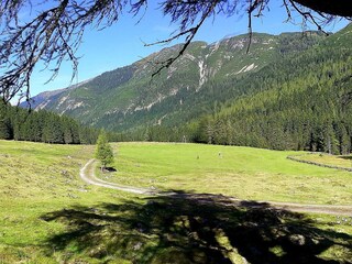 Appartement Forstau Omgeving 32