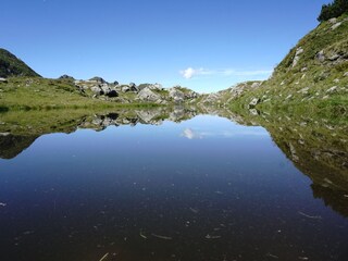 Appartamento Forstau Ambiente 31