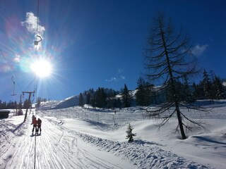 Appartamento Forstau Ambiente 33