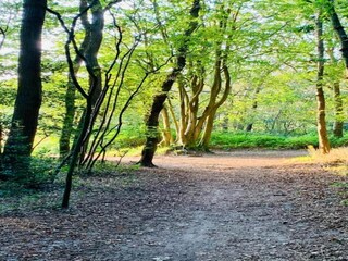 Casa de vacaciones Bergen (Holland) Entorno 35